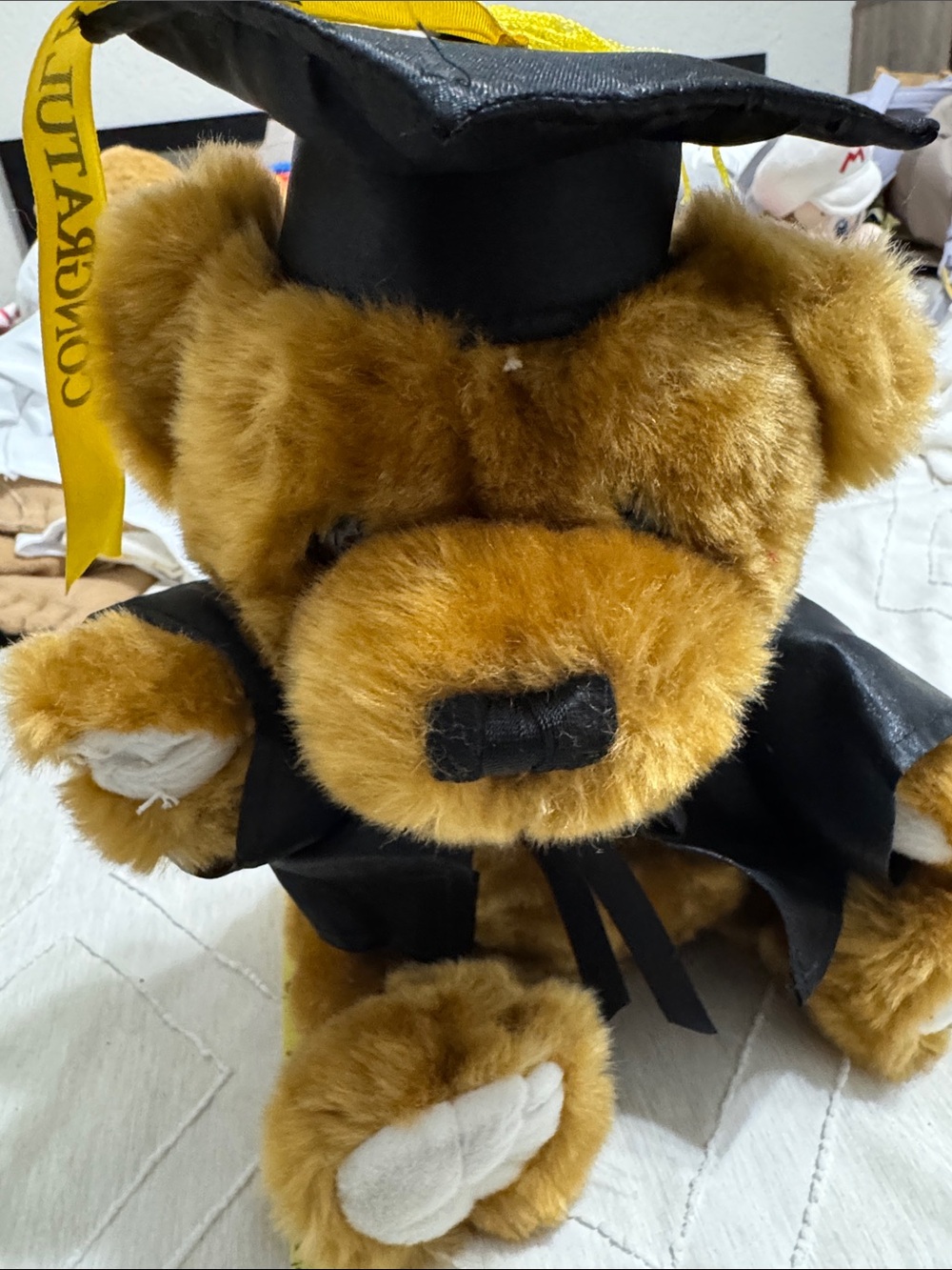 Plush Brown Graduation Teddy Bear in Black Gown